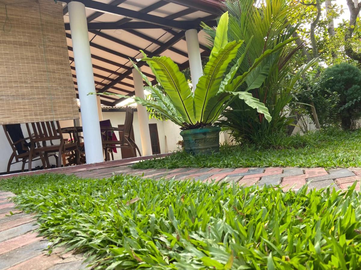 Mirissa Gold Rush Villa المظهر الخارجي الصورة