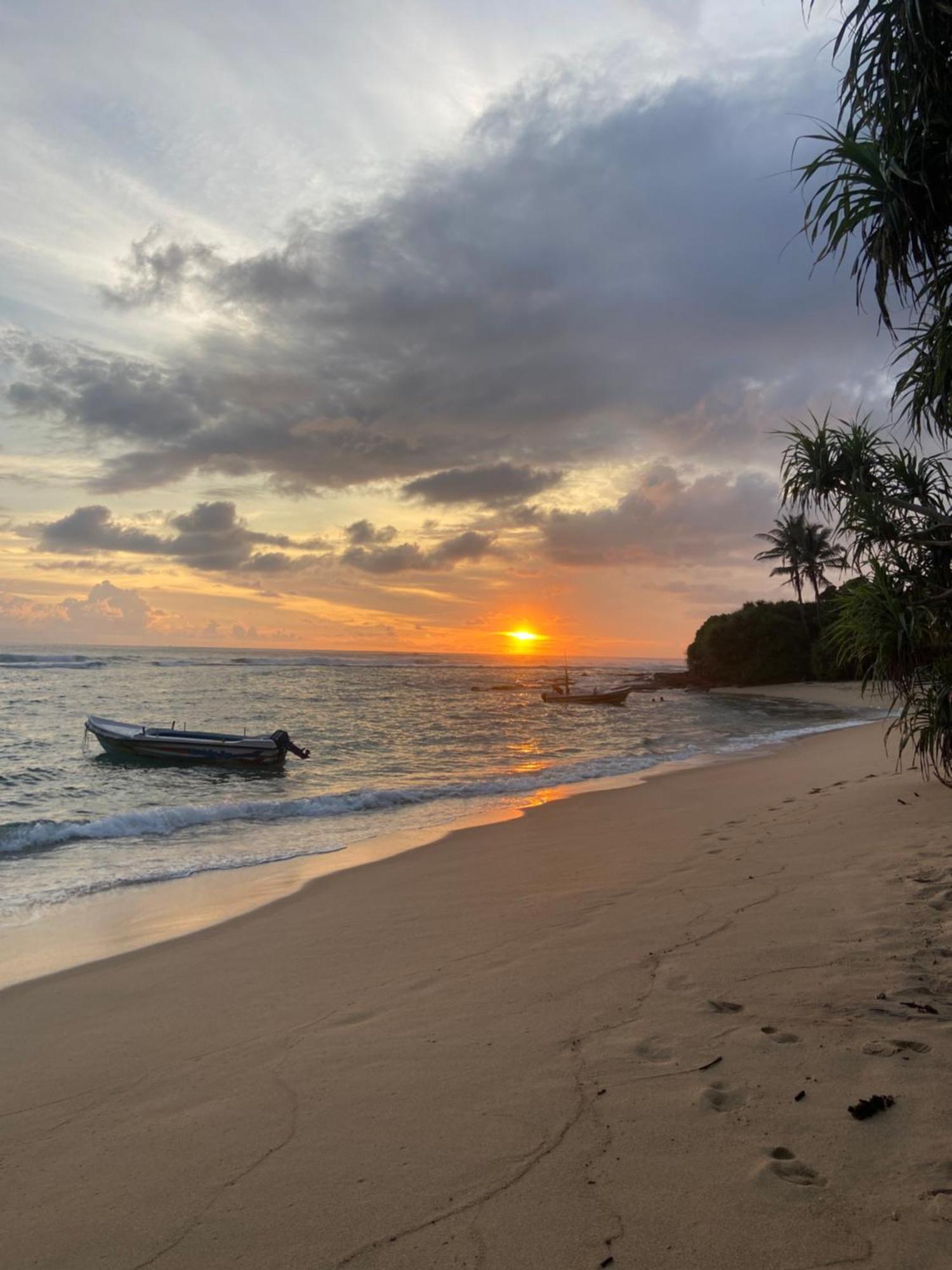 Mirissa Gold Rush Villa المظهر الخارجي الصورة