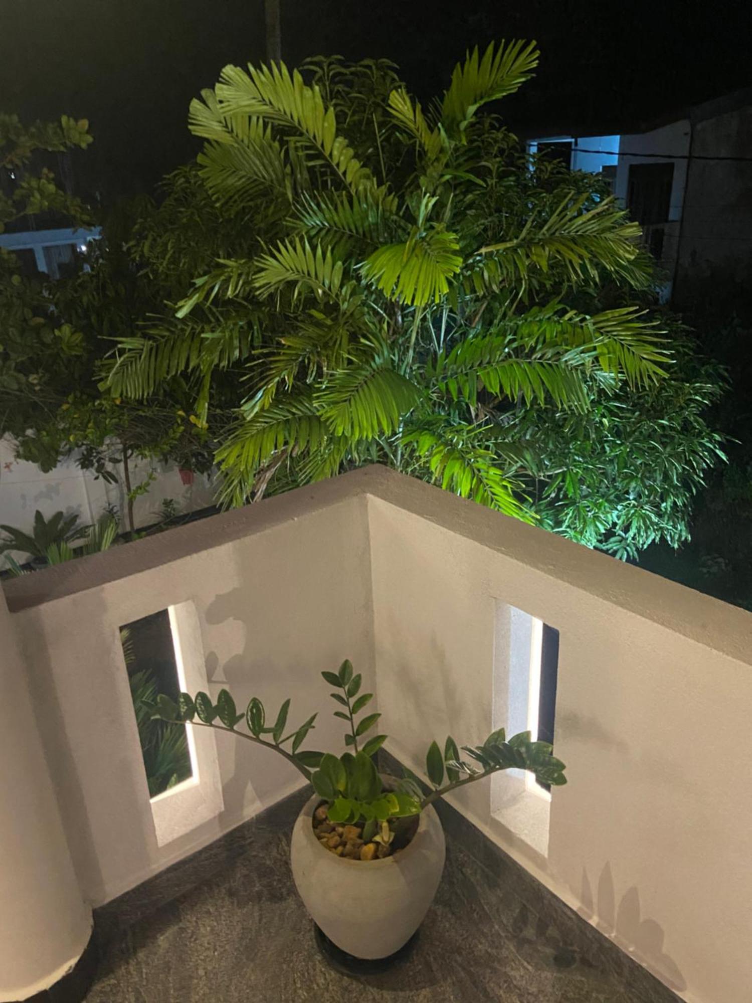 Mirissa Gold Rush Villa المظهر الخارجي الصورة