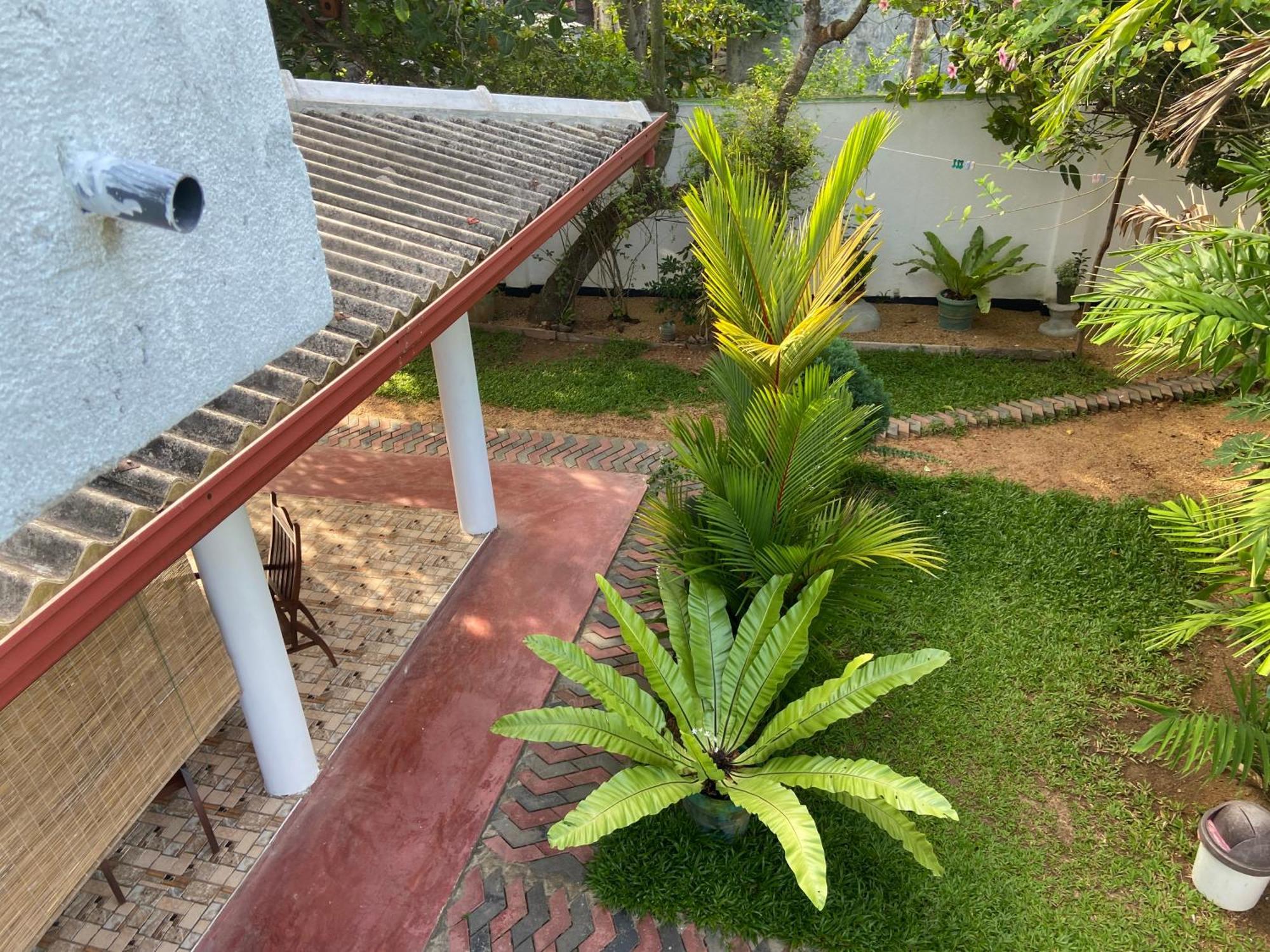 Mirissa Gold Rush Villa المظهر الخارجي الصورة