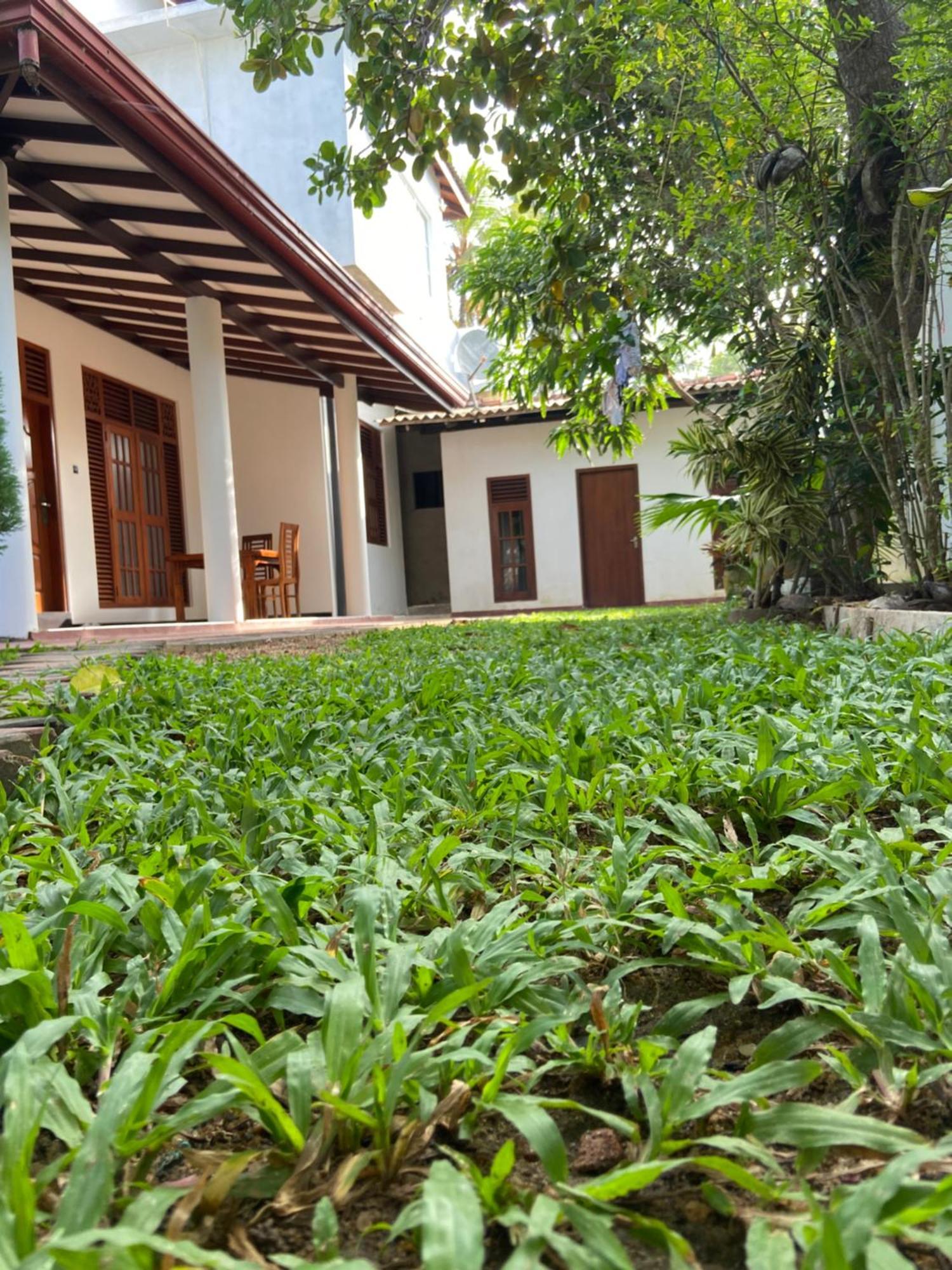 Mirissa Gold Rush Villa المظهر الخارجي الصورة