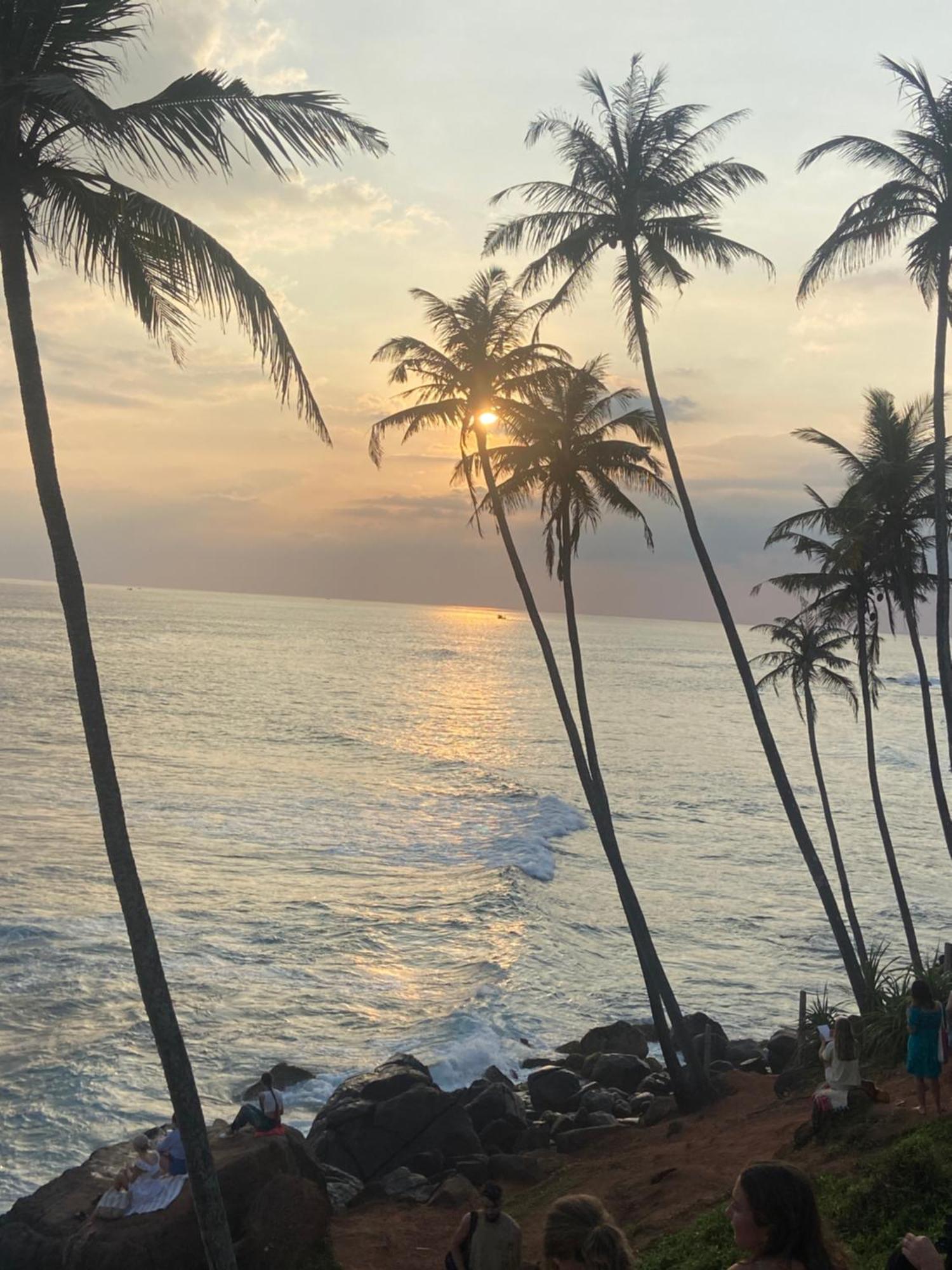 Mirissa Gold Rush Villa المظهر الخارجي الصورة